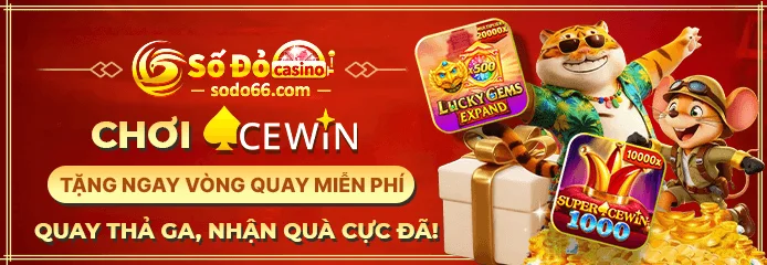 VIP Bonus Banner